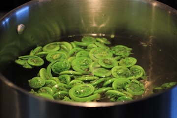Curled green fiddleheads in pot of boiling water.