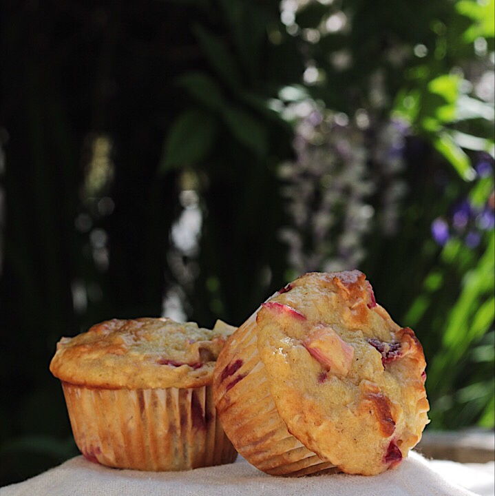 Rhubarb from the garden and into muffins