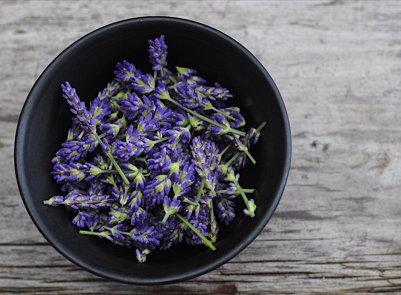 Bowl Of Lavender