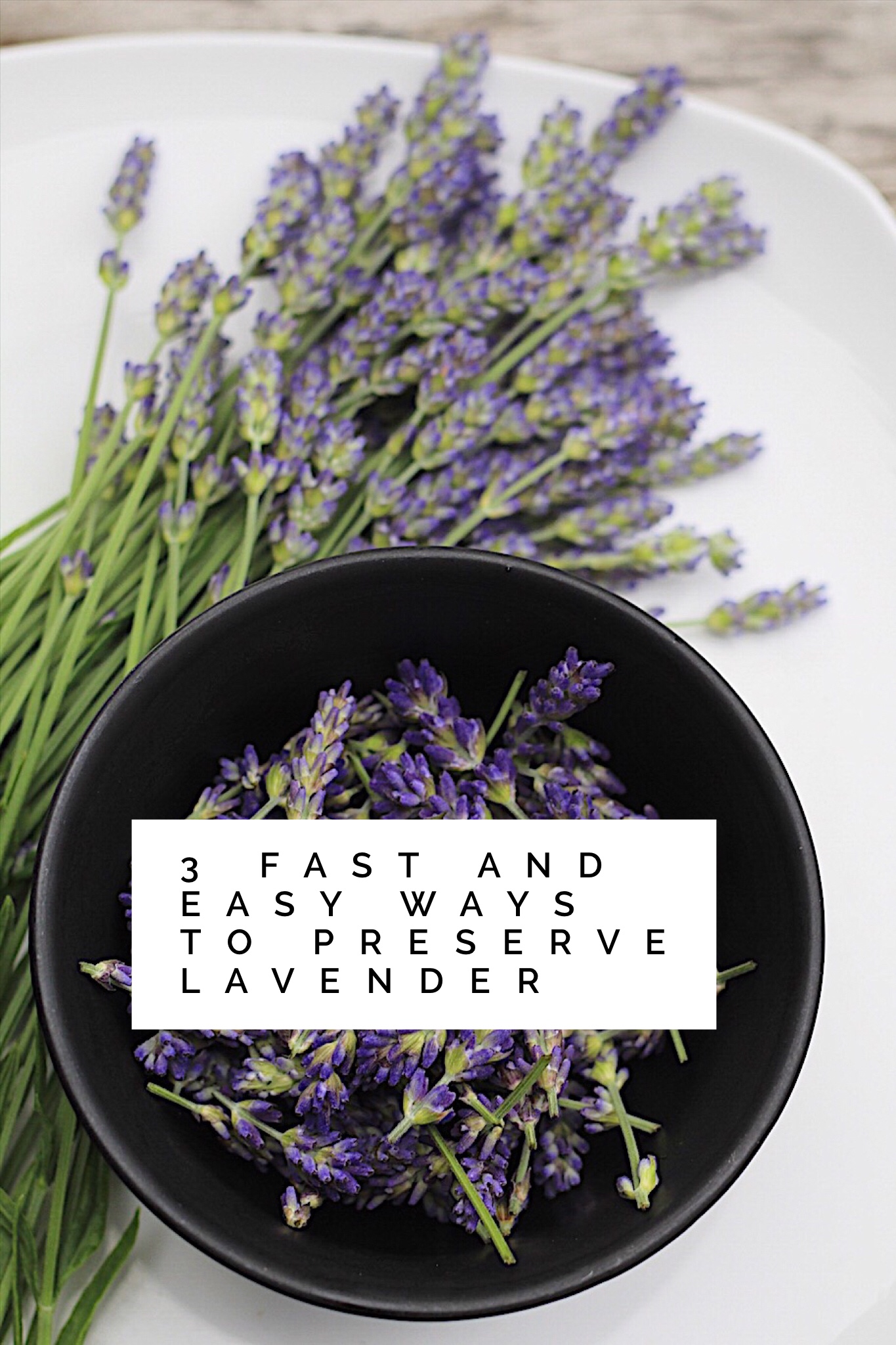 3 Easy Ways To Preserve Lavender