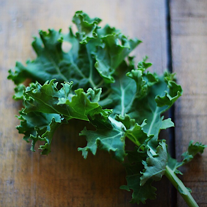 Farm Favourite - Kale