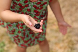 A child in a red and green dress holding a single blackberry.