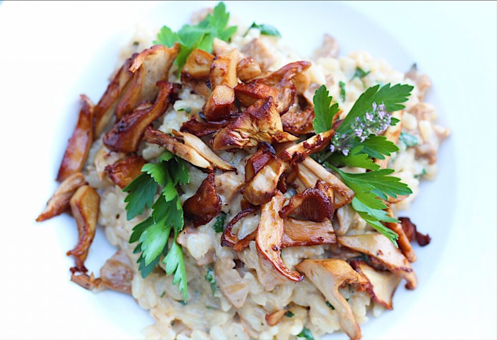 Crispy Browned Mushrooms On Risotto