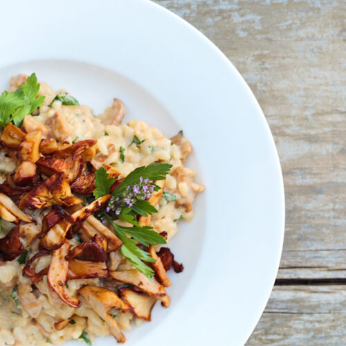 Overhead shot of chanterelle mushroom risotto in a wide rimmed white bowl on a rustic wooden table.