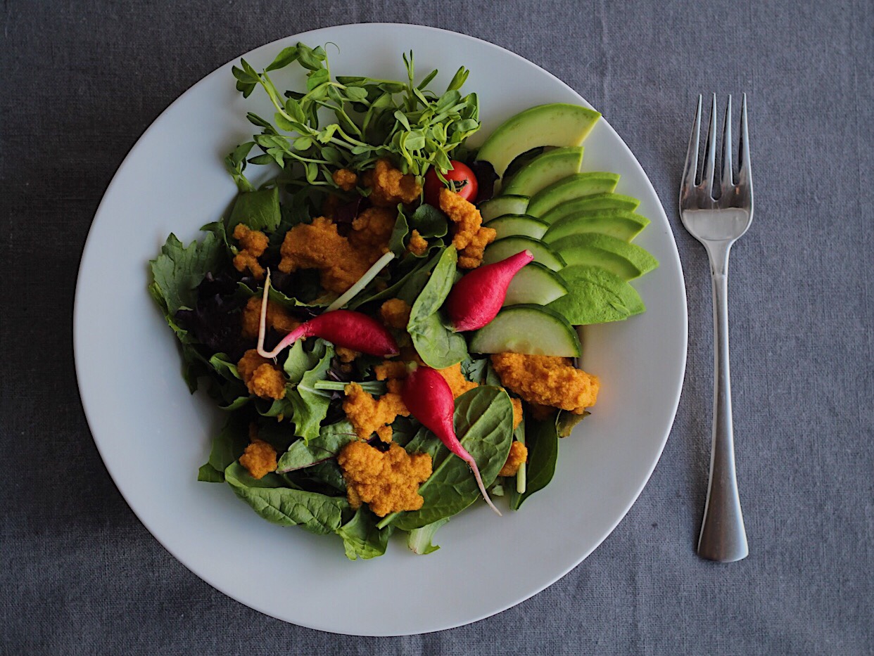 Bright orange ginger dressing made with carrots and apples tops a green salad with lettuce, avocado, radishes and pea shoots in a white bowl. 