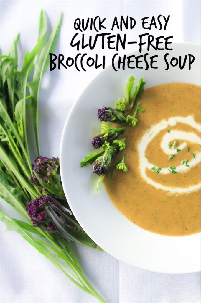Quick Easy Healthy Broccoli Cheese Soup