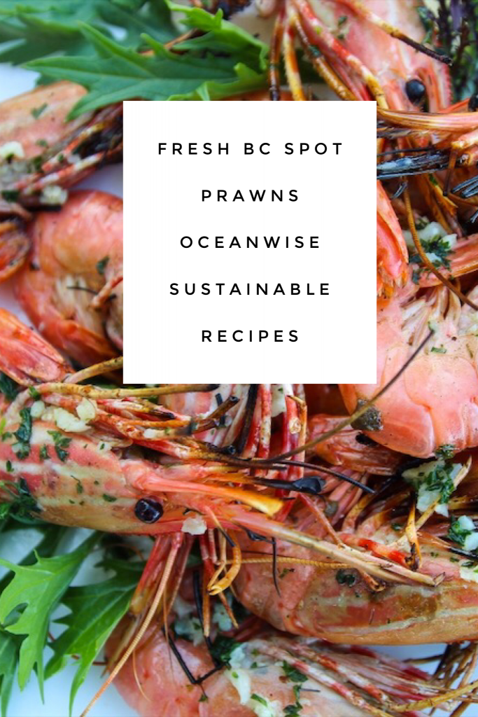 Fishing And Cooking Oceanwise BC Spot Prawns