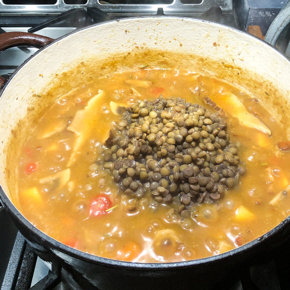 Mushroom stew with lentils poured in on top.