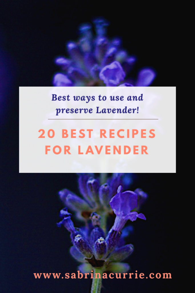 Lavender Recipe Roundup