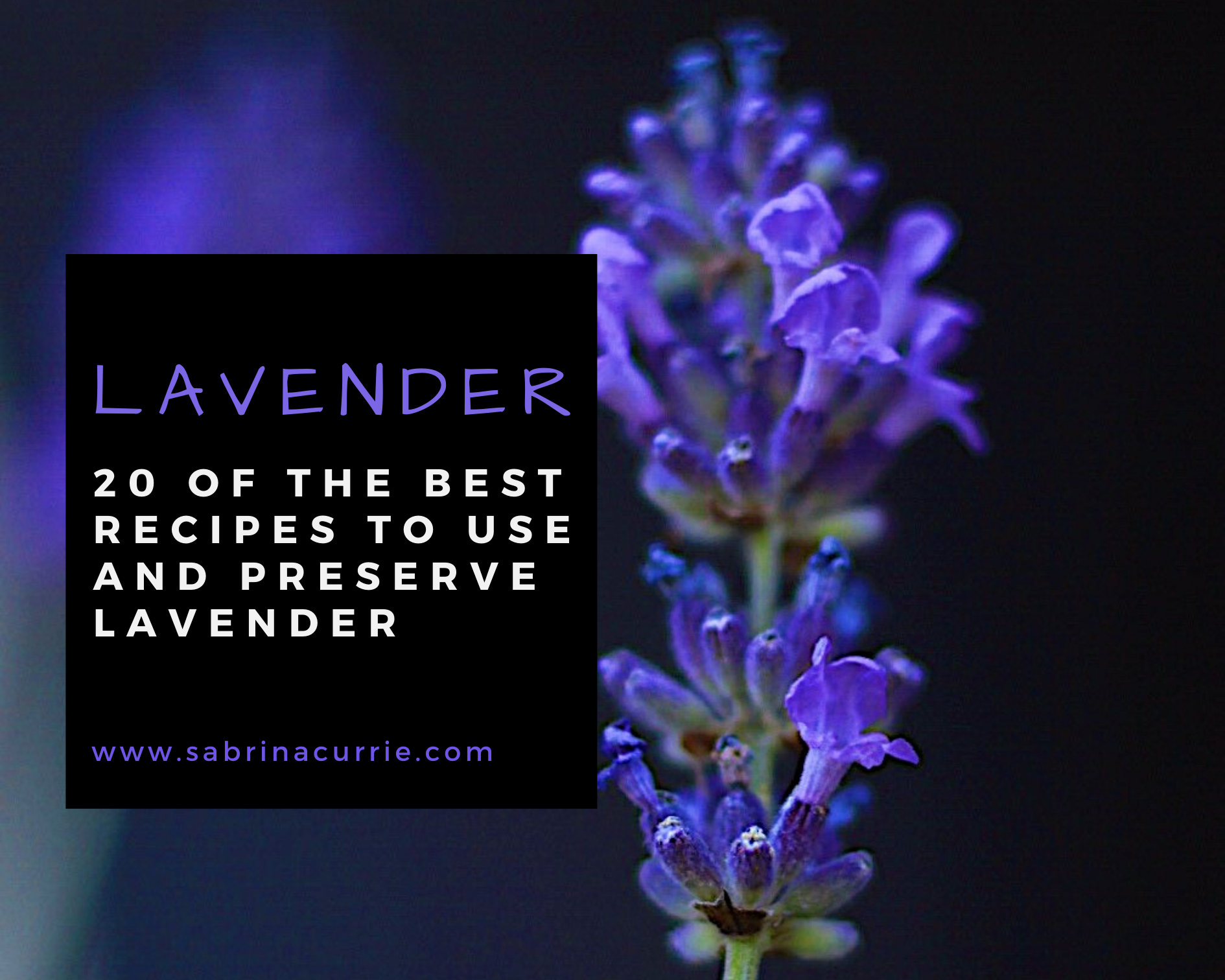 Best Recipes To Use And Preserve Lavender