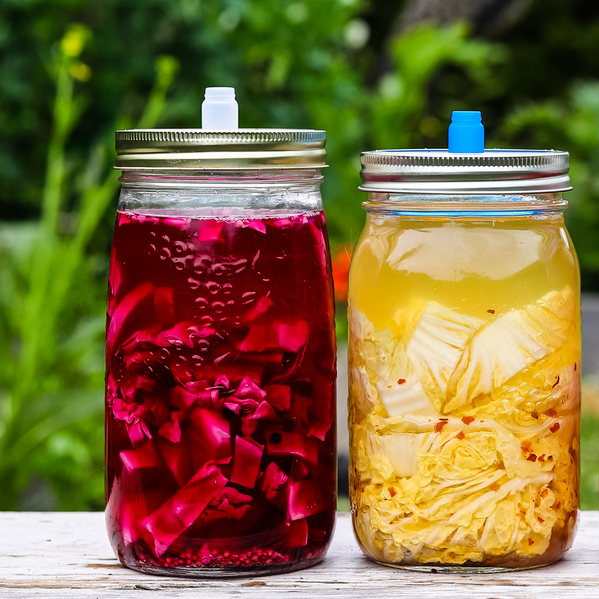 White and red cabbage sauerkraut with simple airlock lids