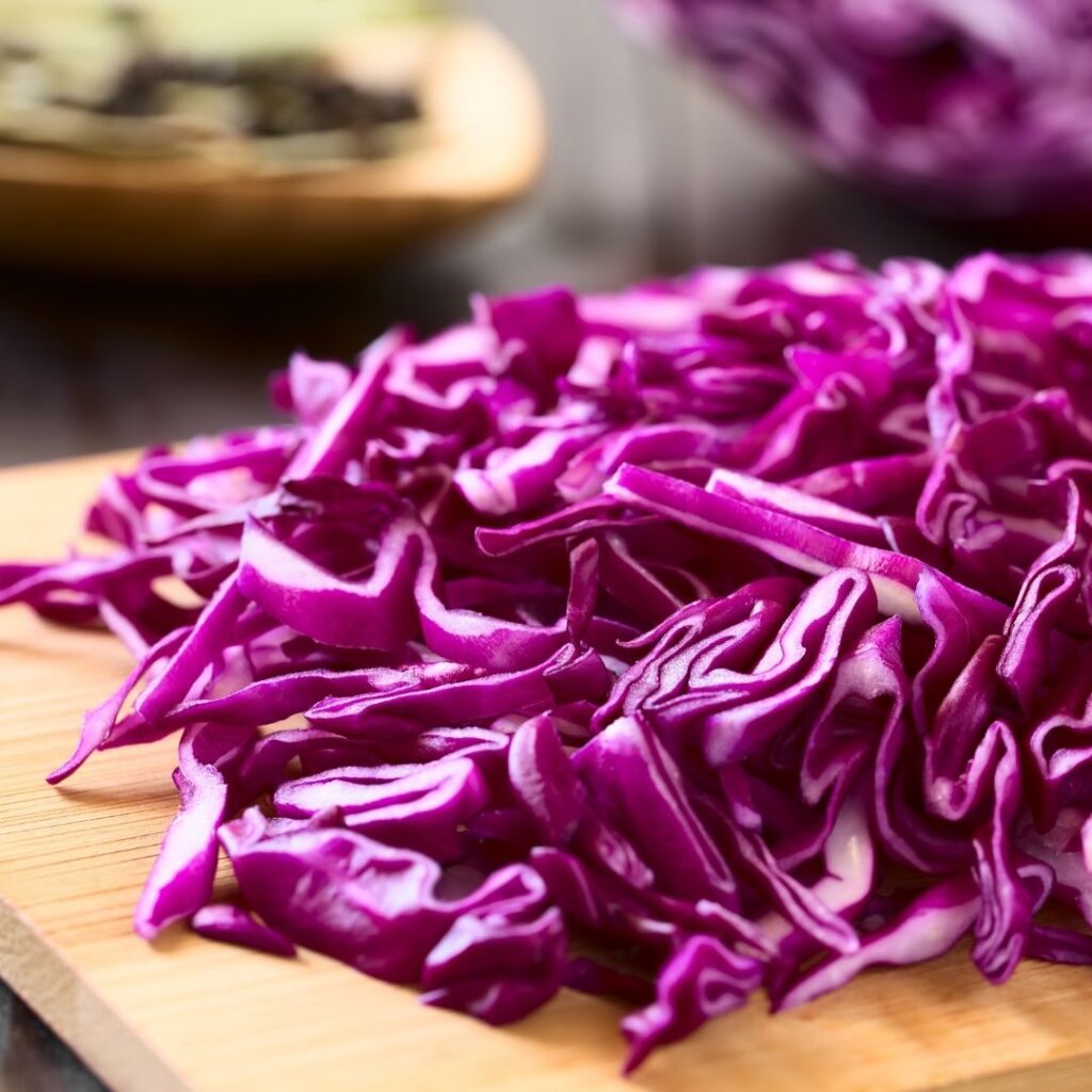 Uniformly chopped red cabbage for sauerkraut