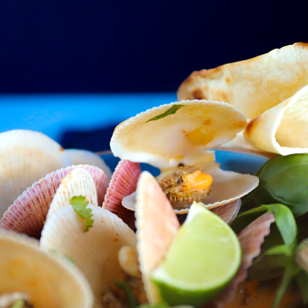 Close up shot of scallops in shell in red curry broth with lime wedge and chopped basil.