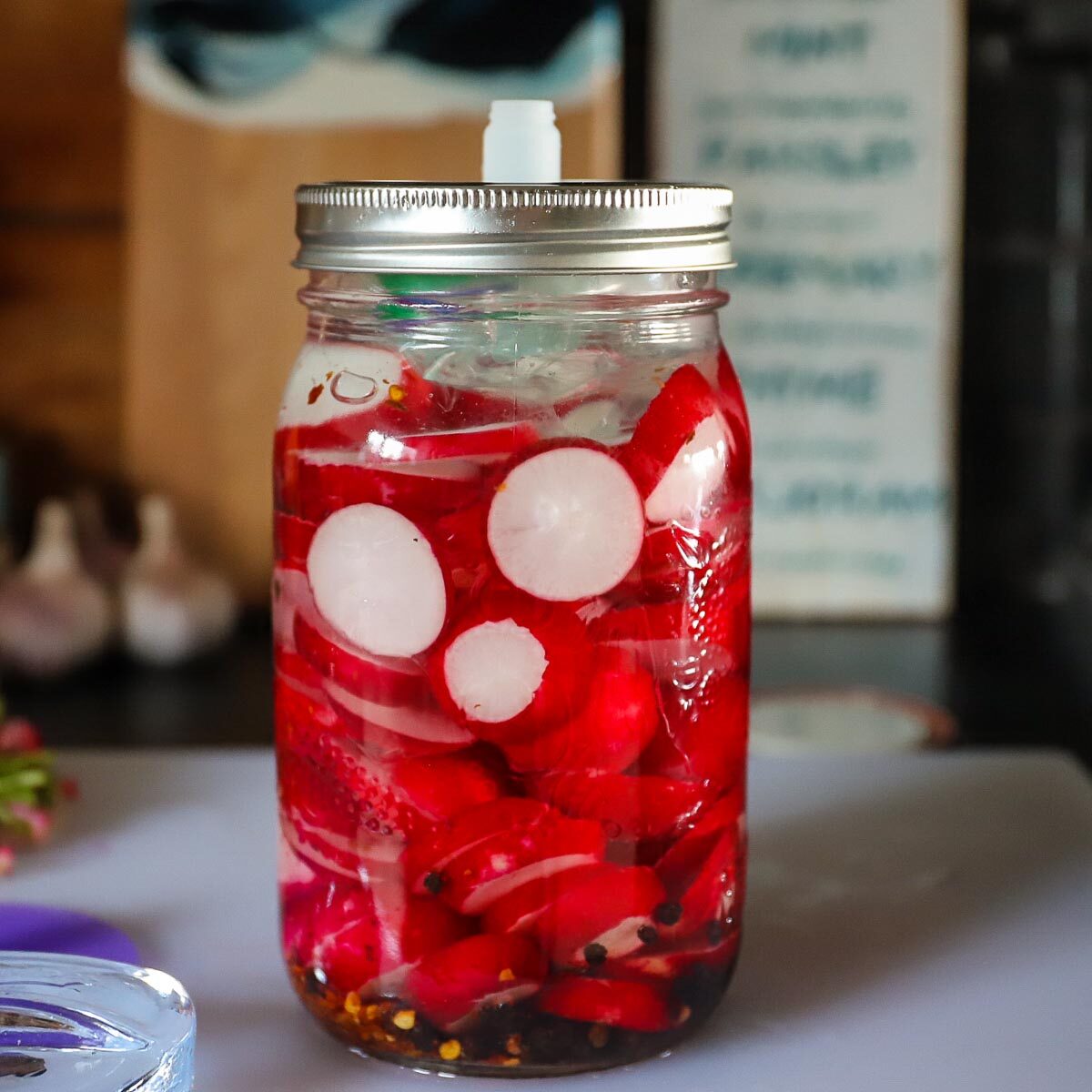 The jar of radishes now has the homemade fermentation weight on and is covered by a pickle pipe lid secured by the silver jar ring.