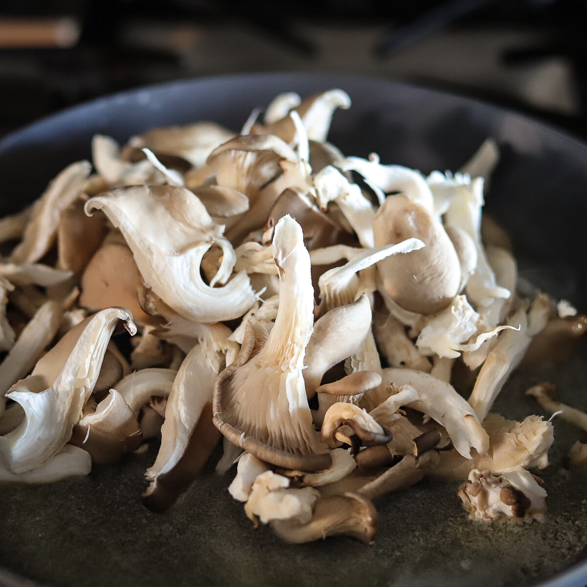 A pile of torn oyster mushrooms in the frying pan. They are light oyster grey and cream colors.