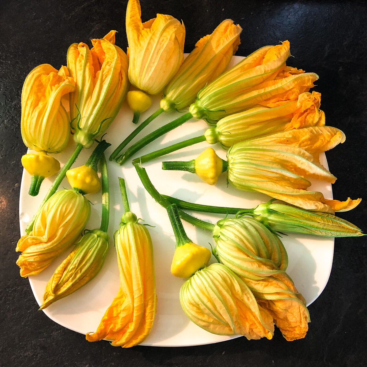White square plate with a circle of bright yellow-orange zucchini flowers/blossoms with green stems.