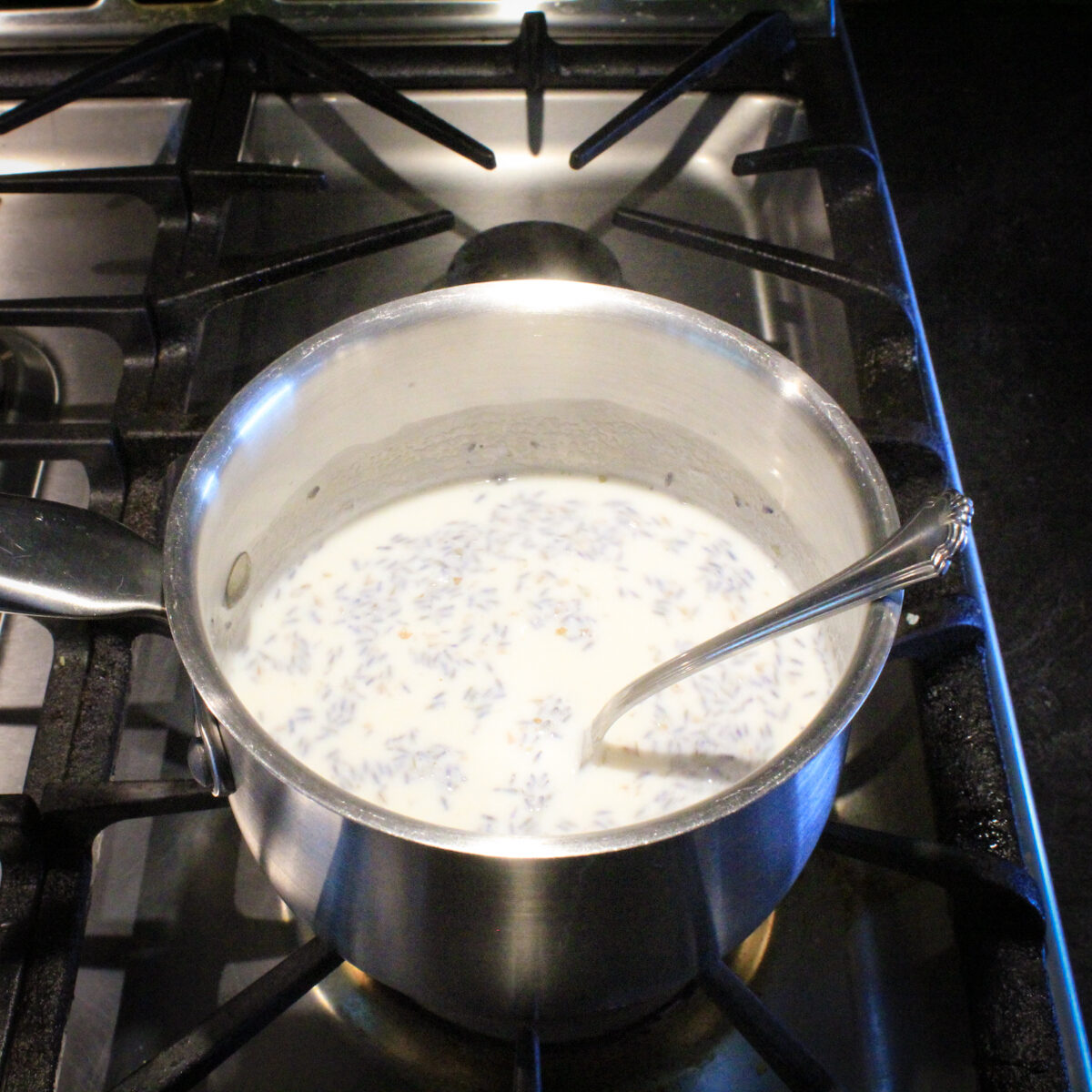 Milk and lavender buds stirred together in a stainless steel saucepan.