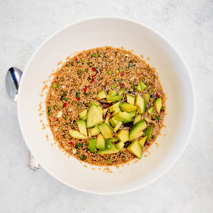 Korean Avocado (Mayak Avocado) West Coast Kitchen Garden