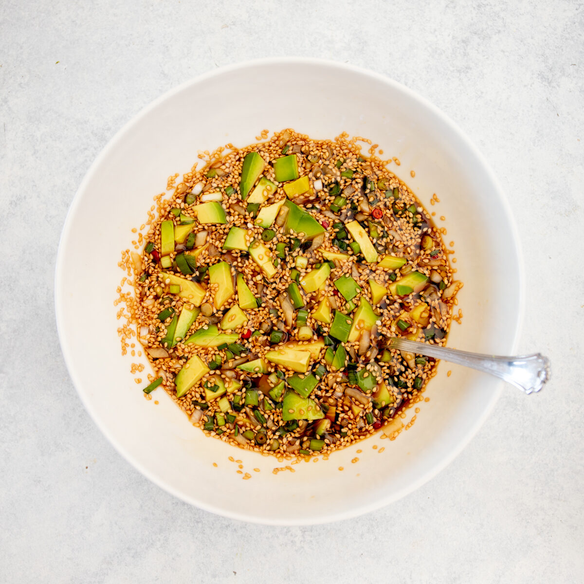 Korean Avocado (Mayak Avocado) West Coast Kitchen Garden