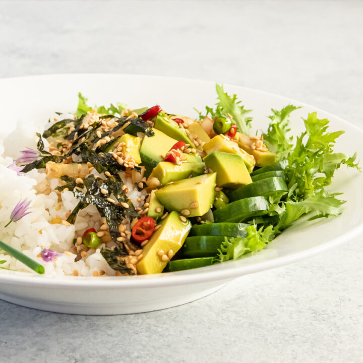 Korean Avocado (Mayak Avocado) West Coast Kitchen Garden