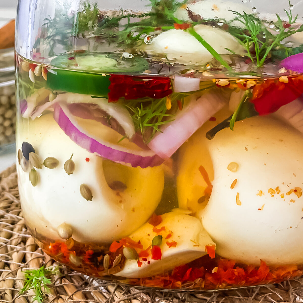 closeup of eggs in clear vinegar brine with spices and red onions floating in it and green dill fronds on top.