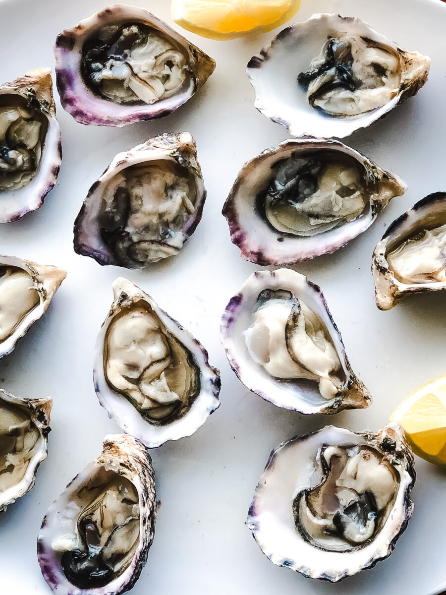 A platter of creamy grey oysters on their white half shells with grey and purple edges on the shells.