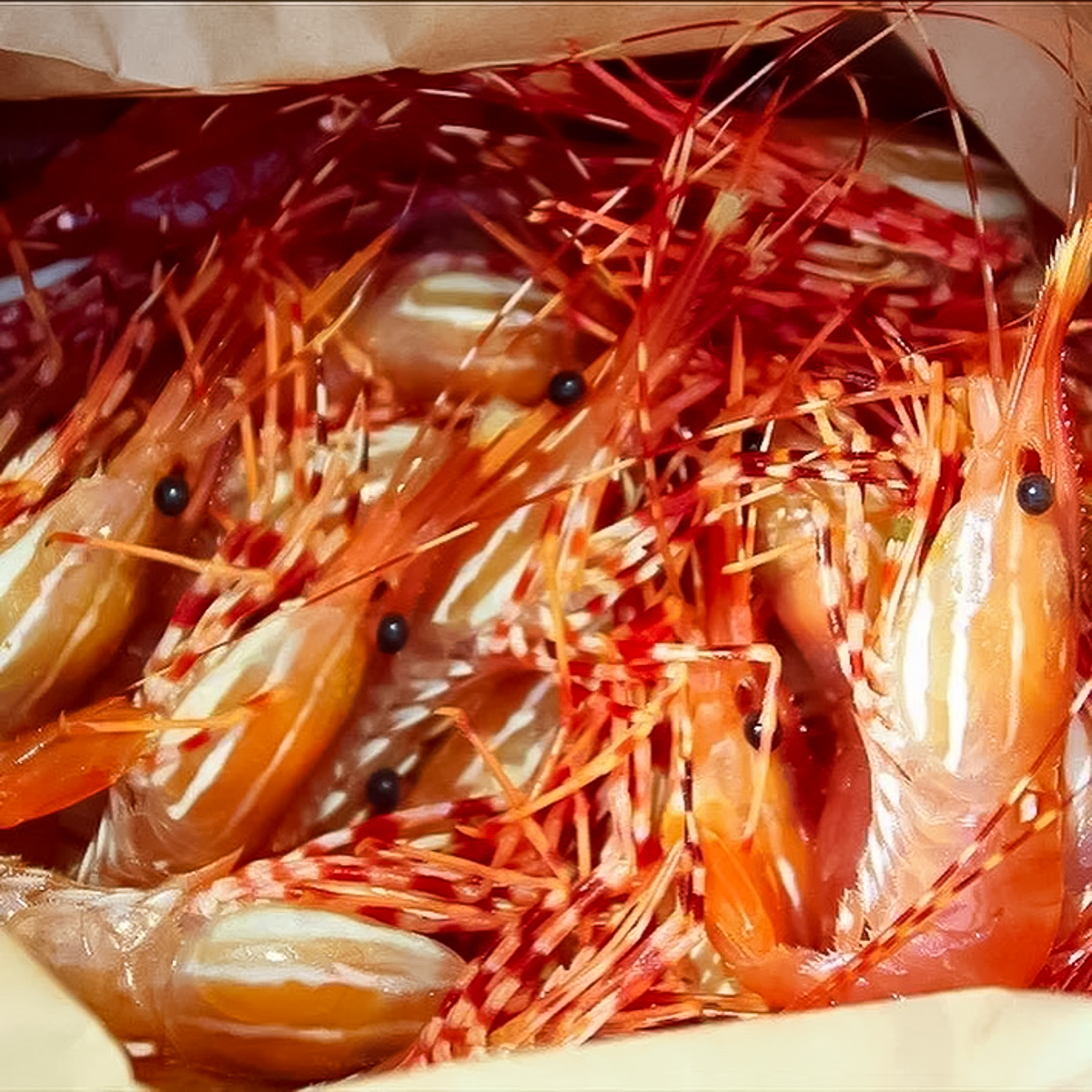 A brown paper bag open to show the fresh, live prawns. They are a bright red-orange color with distinctive white markings and black eyes.