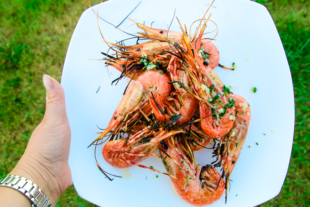 A hand holding a plate of grilled shrimp above a grassy lawn.