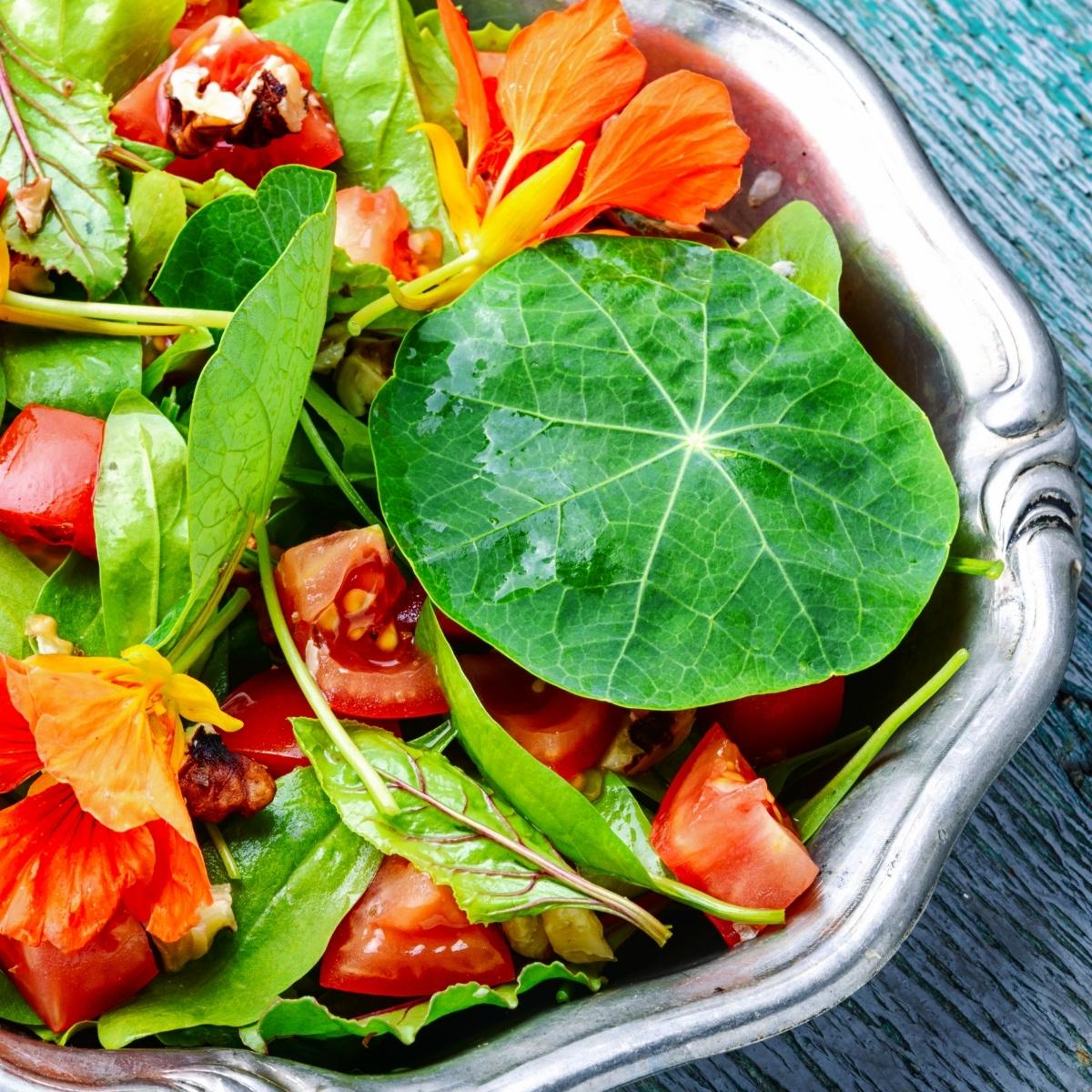 A salad of nasturtium leaves, flowers and tomatoes. It is emerald and orange.