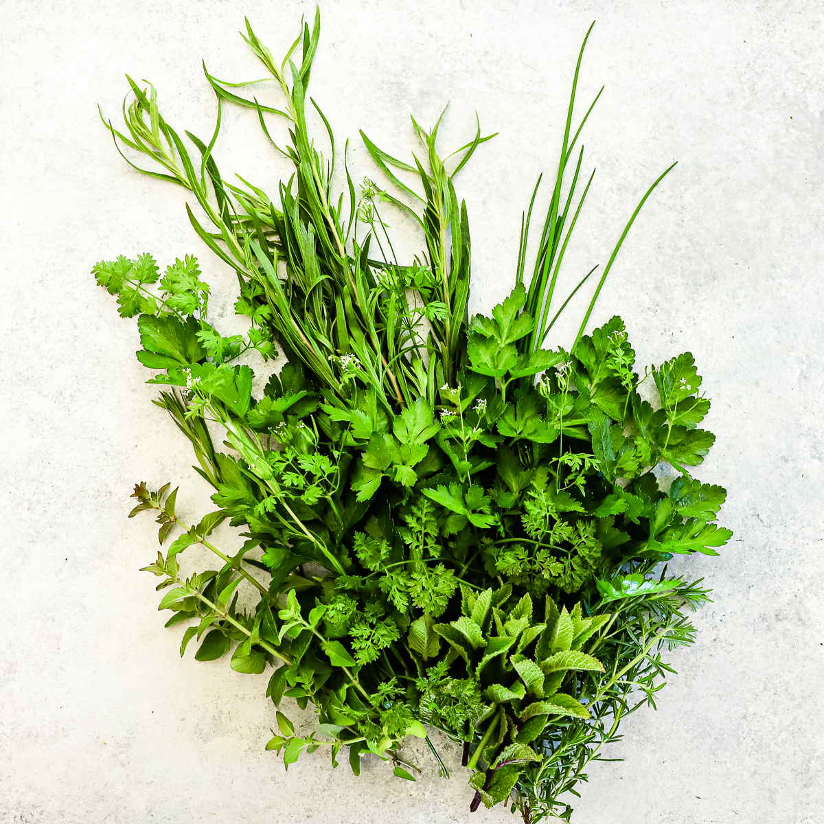 A bundle of herbs made to look like a bouquet. They are all green and there is chives, tarragon, parsley, cilantro, mint, thyme, rosemary and oregano.