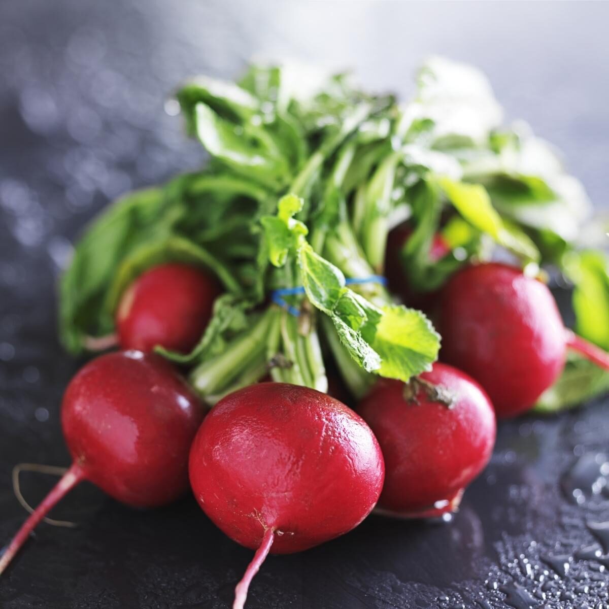 The Difference Between Turnip vs Radish West Coast Kitchen Garden