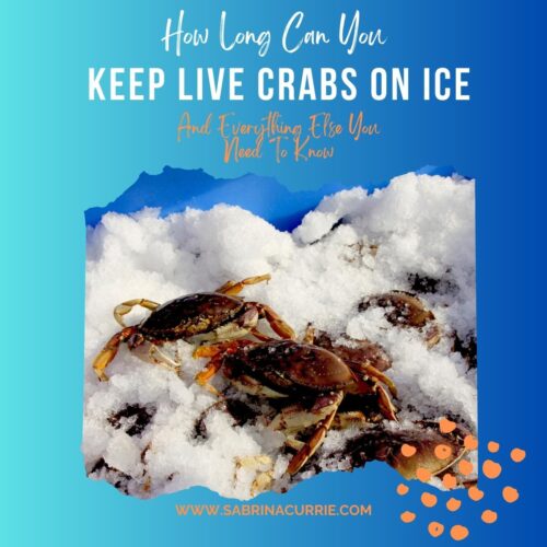 Title, "How long can you keep live crabs on ice" above a photo of live Dungeness crabs on crushed ice.