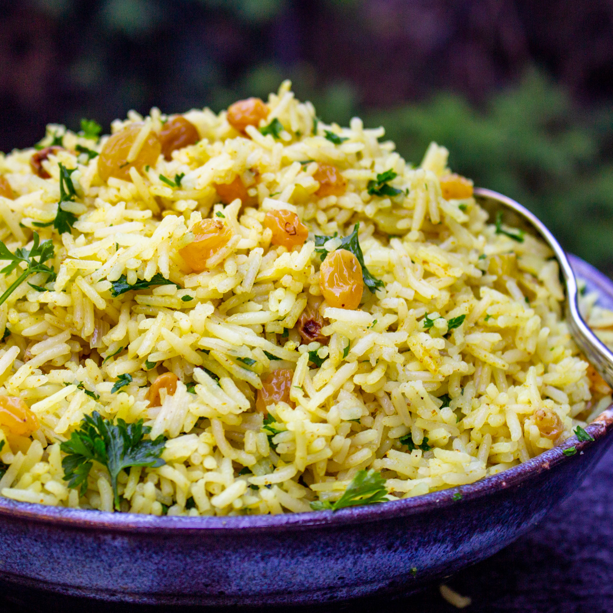 Pale yellow curried rice studded with raisins and fresh chopped cilantro.