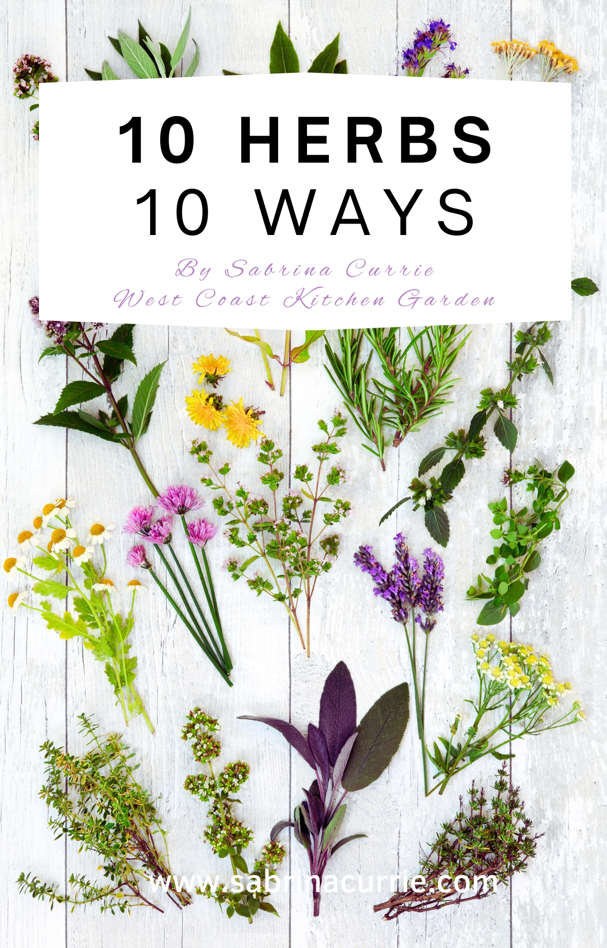 book cover titles 10 herbs 10 ways by Sabrina Currie West Coast Kitchen Garden over top of a white table full of various herbs.