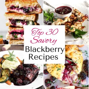 Collage of four recipes with title in the middle. Shown is brie and blackberries baked in puff pastry, blackberry grilled cheese sandwiches stacked high and a plate of potatoes and veggies with blackberry glazed salmon and skewers of chicken with dark berry sauce.