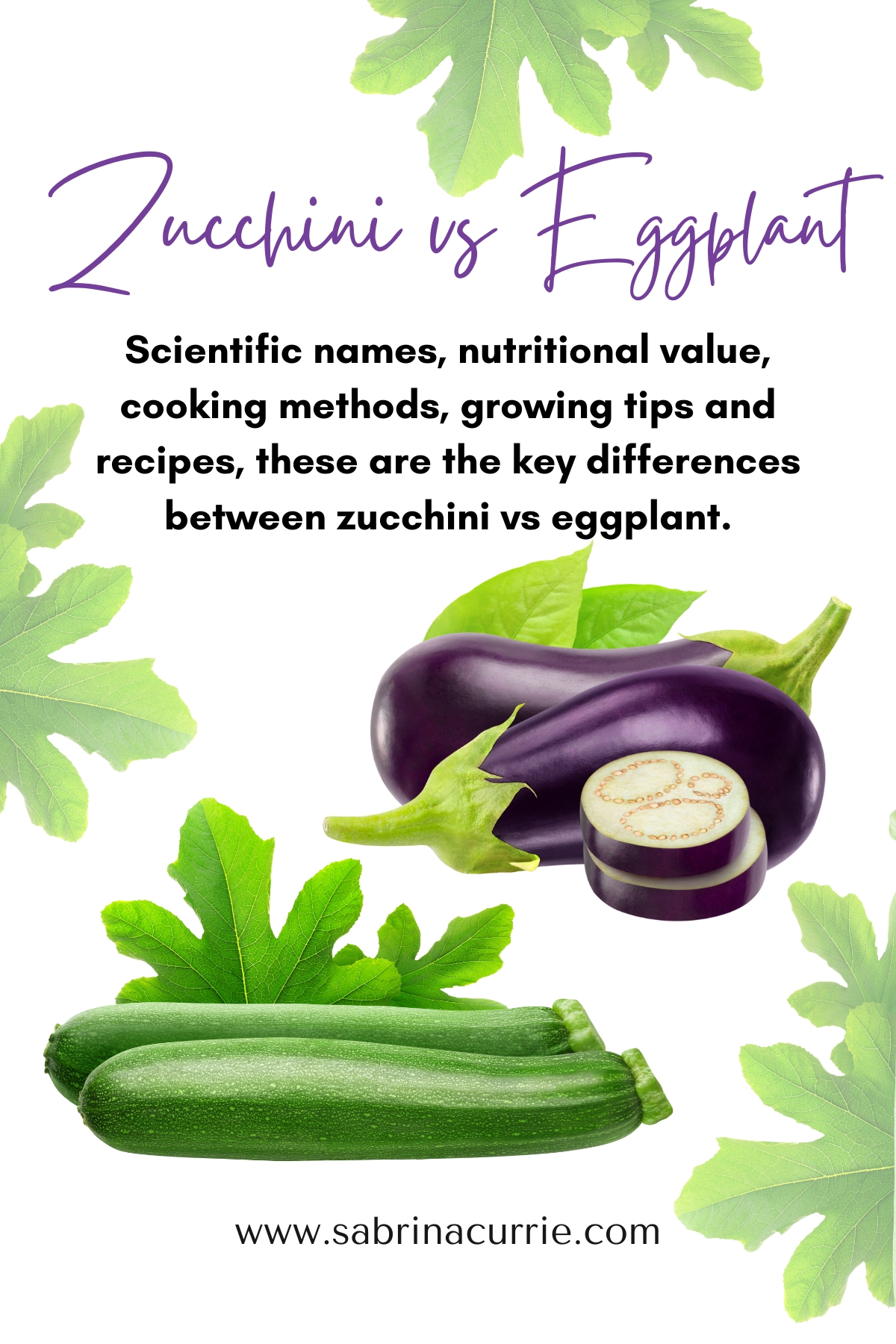 Tall image with title, zucchini vs eggplant, above a photo of 2 zucchinis and 2 eggplants.