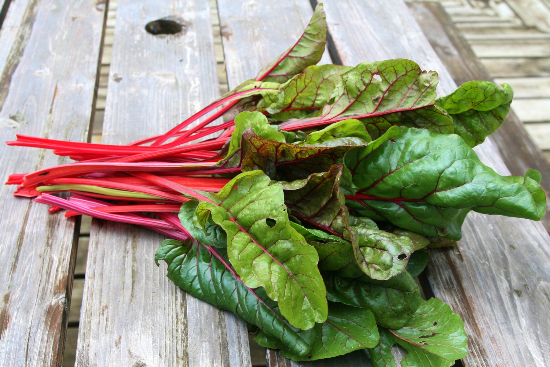 A cut bundle of red stemmed, green leafed Swiss chard on a old wooden bench.