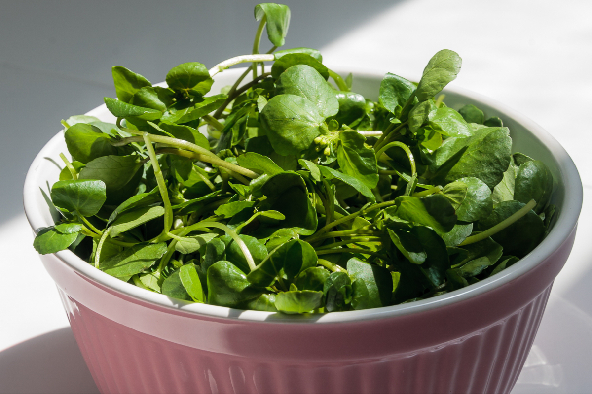 A pink bowl on a white table full of green watercress with it's tender stems and small green leaves.