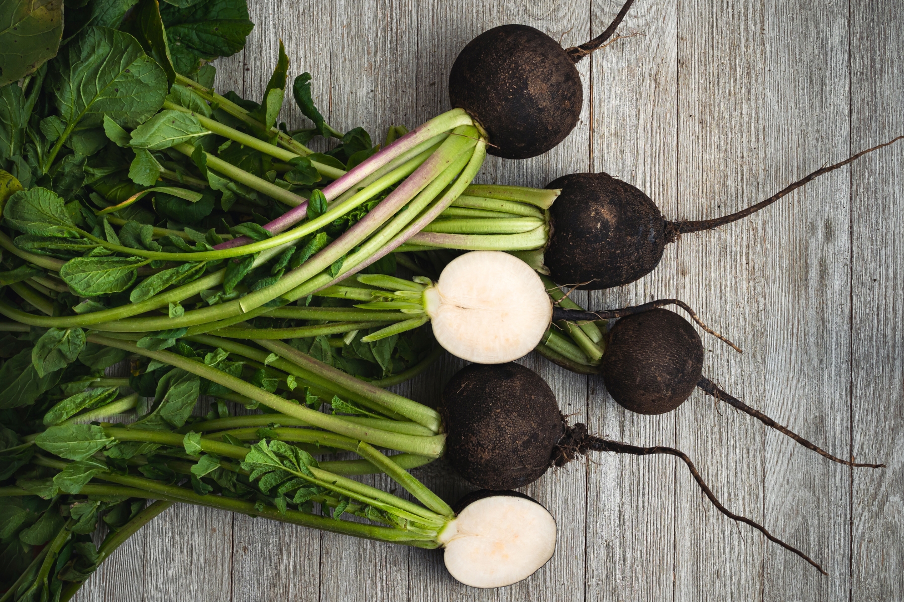 Black radishes attached to their green leafy stems. 1 radish is cut in half revealing the bright white center.