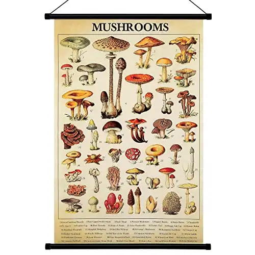 Vintage Mushroom Poster
