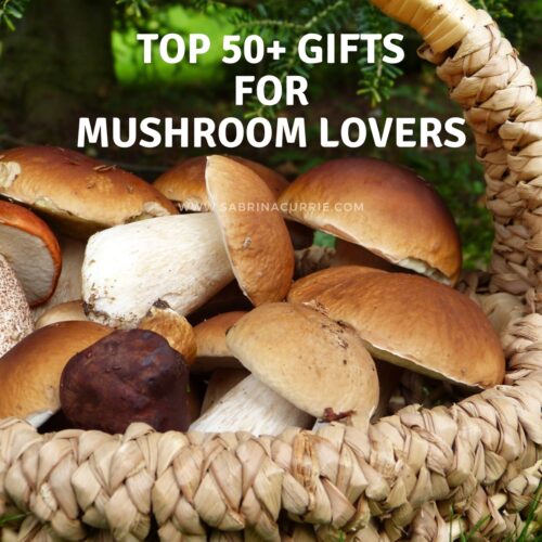 Brown and white bolete mushrooms in a basket with post title, 'Top 50+ Gifts For Mushroom Lovers', in white type at the top.