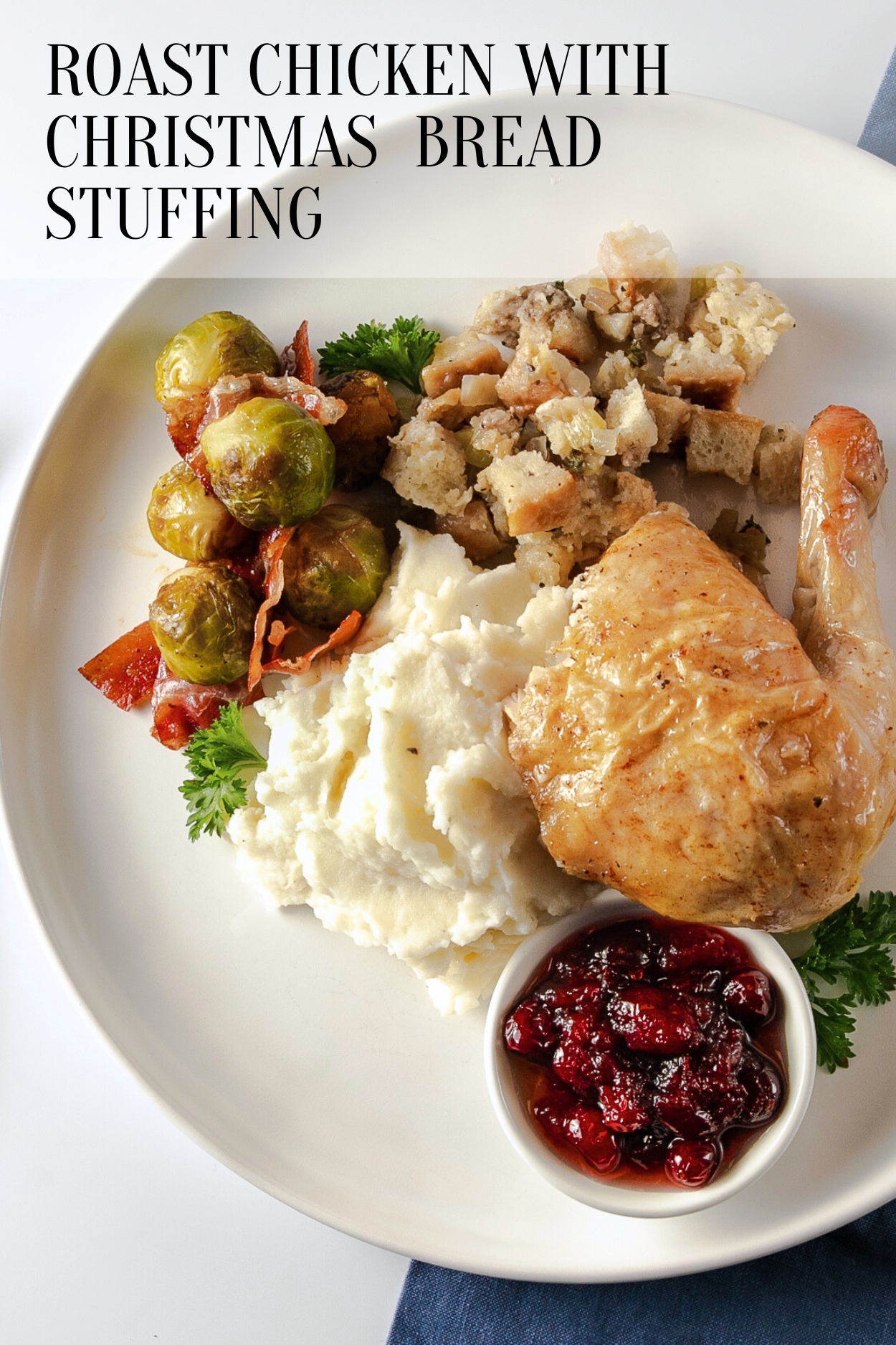 Plated Christmas dinner with stuffed chicken and cranberry sauce.
