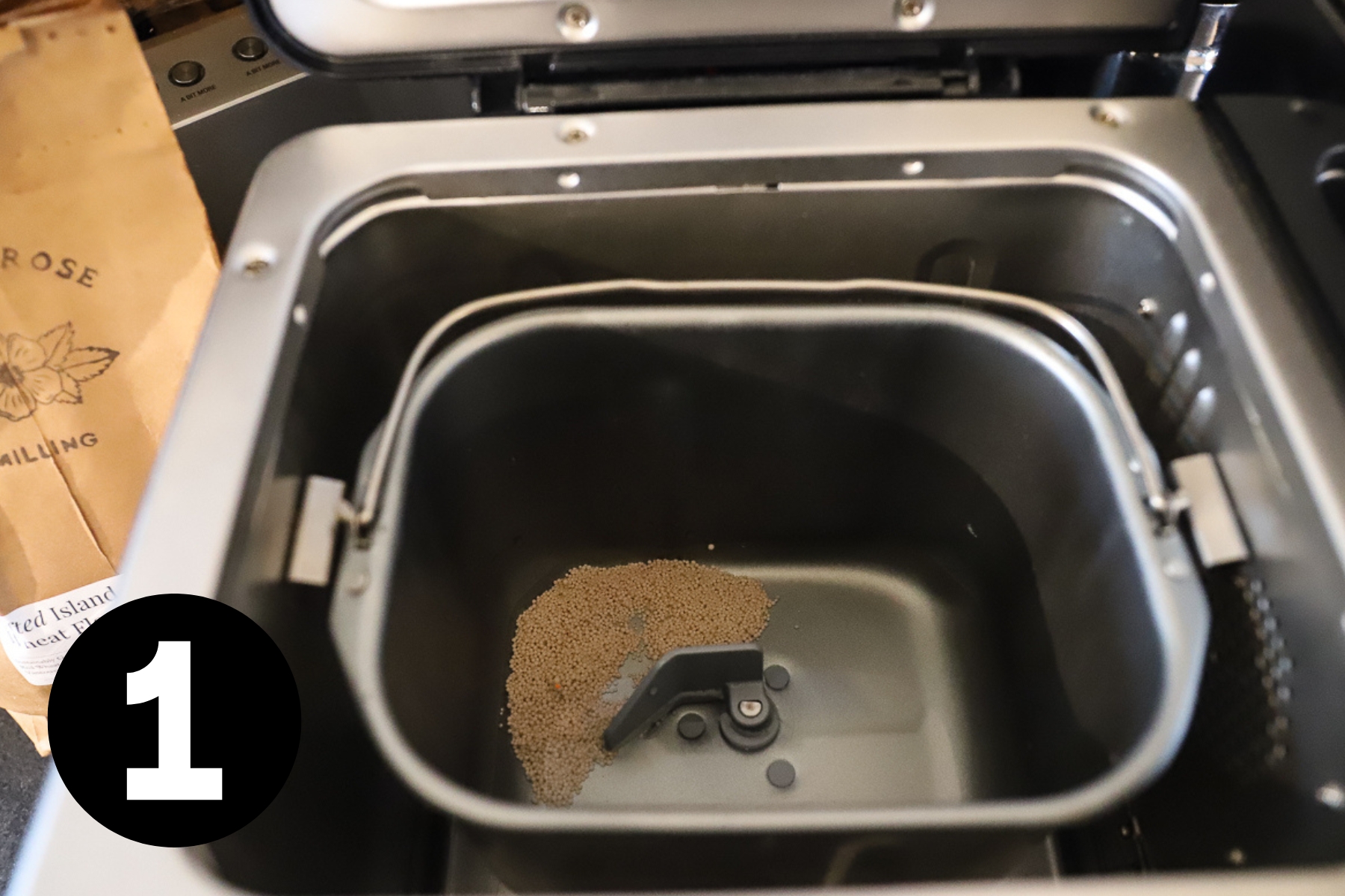 Yeast granules and water in the bowl of a bread machine.