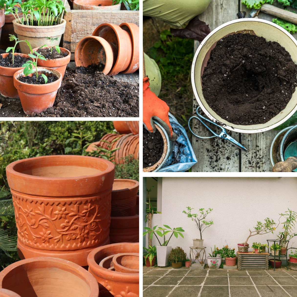 A variety of plant pots, some empty and some with soil in them.